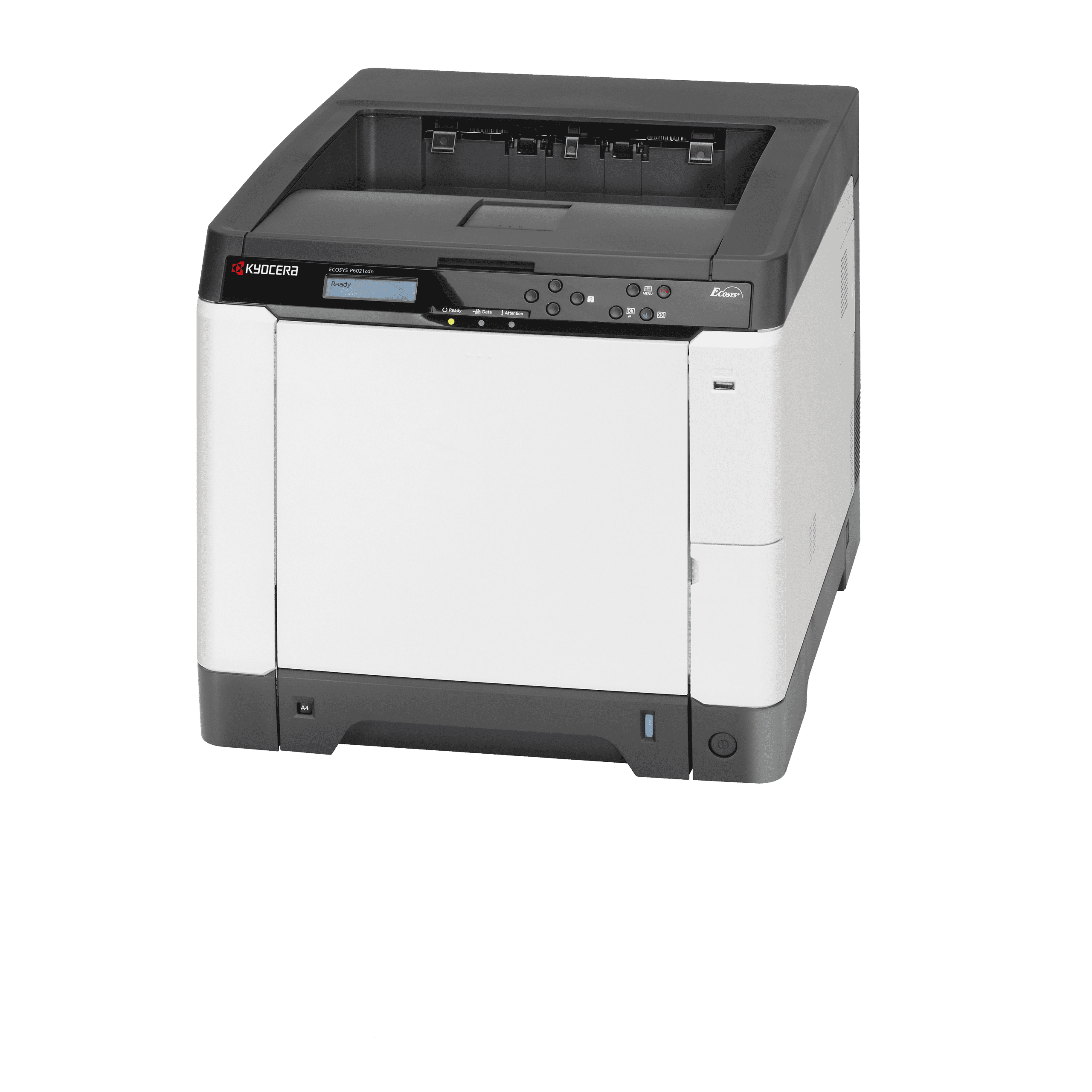Kyocera P6021CDN