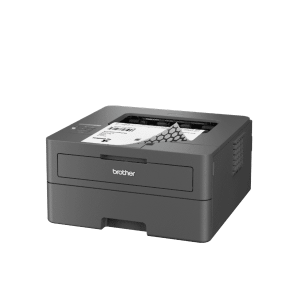 Brother HL-L2400DWE