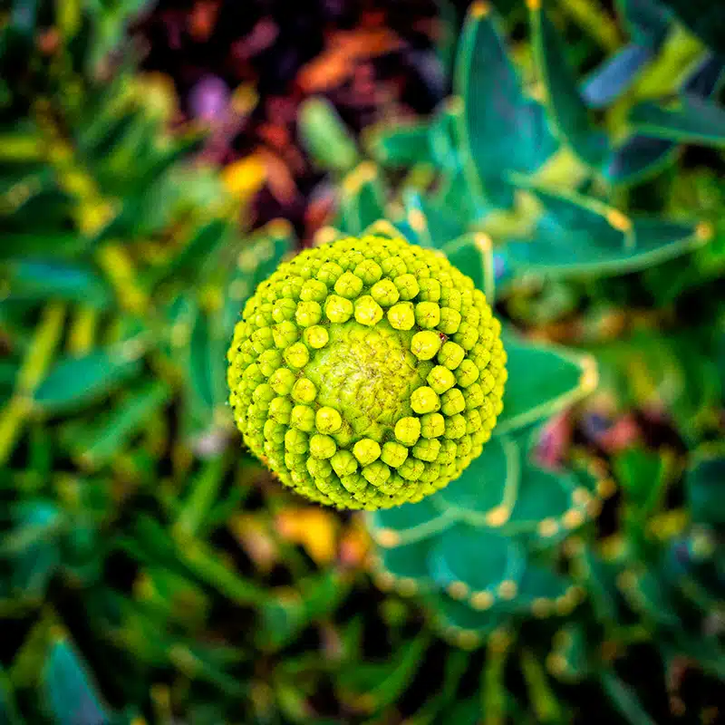 Ricoh IP C8500 - Afbeelding 10